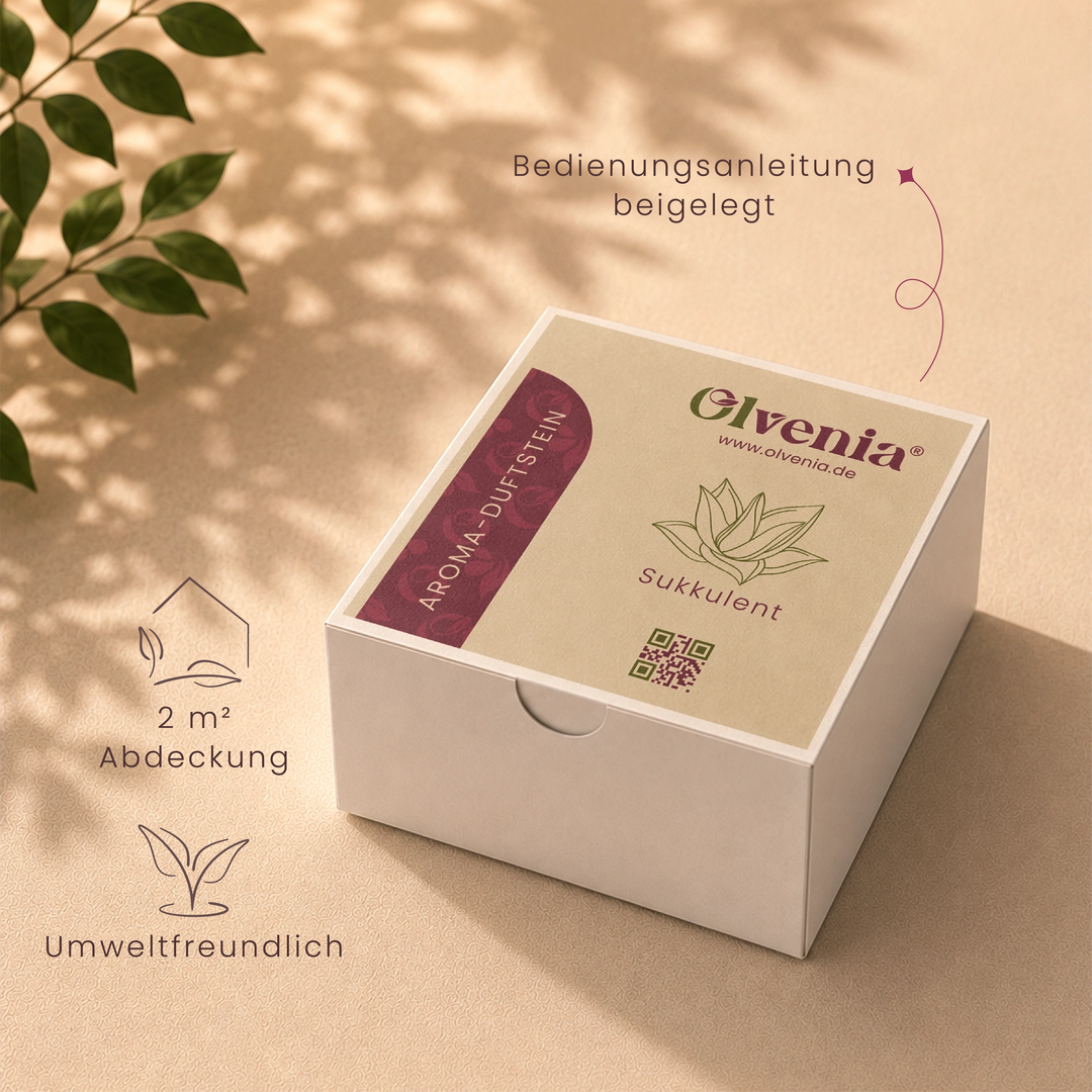 Aroma-Duftstein Sukkulente Olvenia