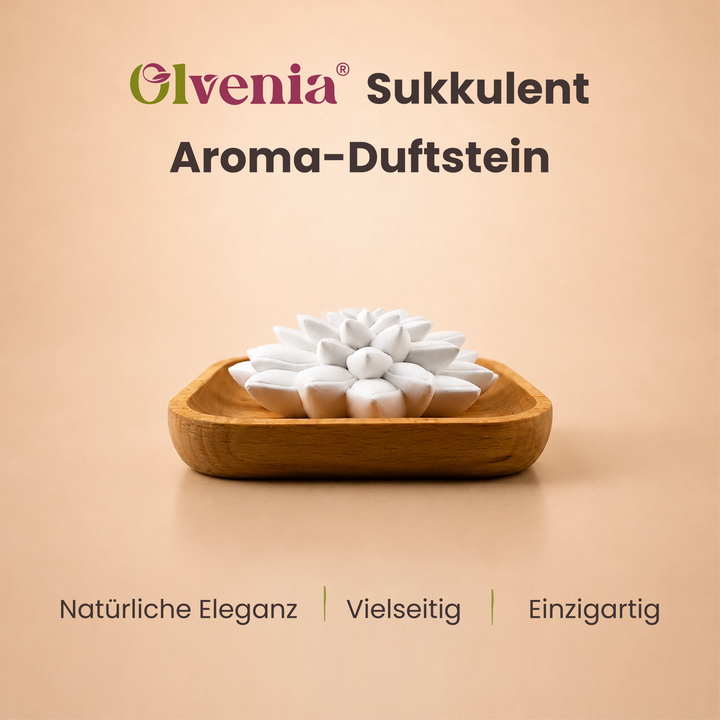 Aroma-Duftstein Sukkulente Olvenia