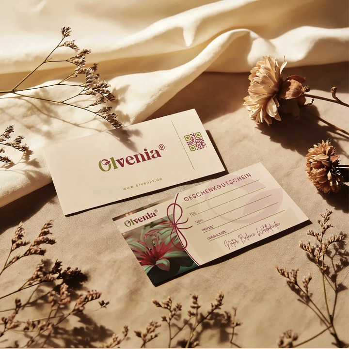 Olvenia Geschenkgutschein Karten in natürlicher Lifestyle-Szene mit warmem Licht und Trockenblumen