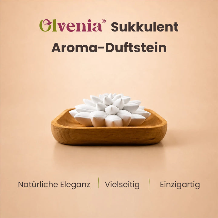 Produktbild des Olvenia Sukkulent Aroma-Duftsteins mit Holztablett und Eigenschaften natürlich elegant, vielseitig und einzigartig