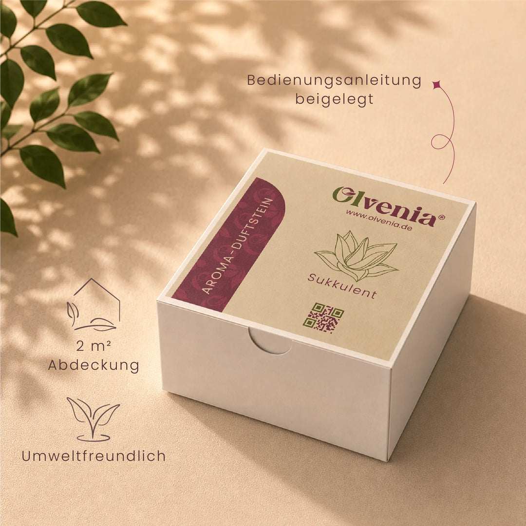 Verpackung des Olvenia Sukkulent Aroma-Duftsteins mit Bedienungsanleitung, 2 Quadratmeter Abdeckung und umweltfreundlichem Hinweis